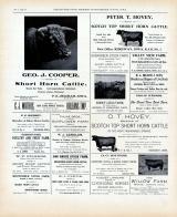 Advertisement 013, Winneshiek County 1905